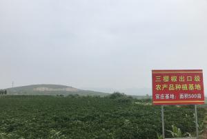 管庄基地：面积500亩