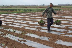 Planting cases