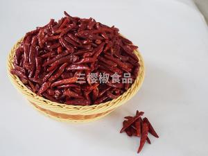 Red sun pepper